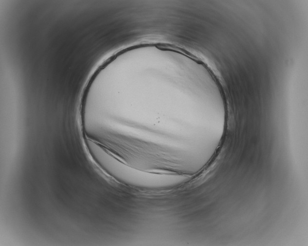 X0000110861342200907091333