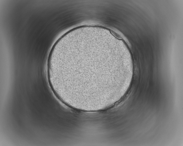 X0000110861343200907091333