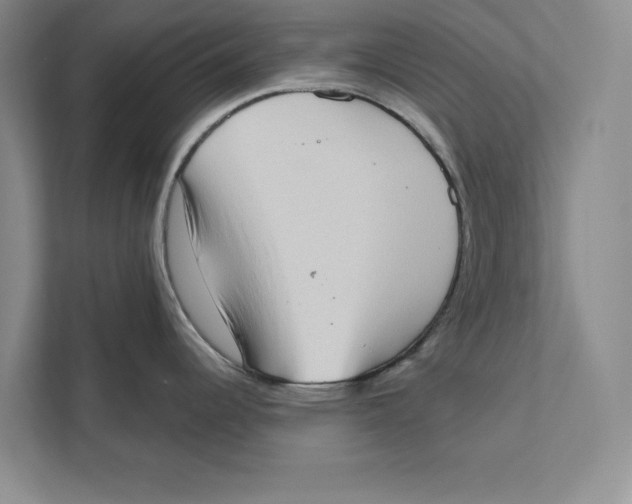 X0000110861344200907091333