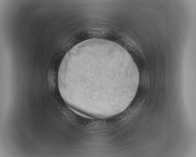 X0000110861346200907091332