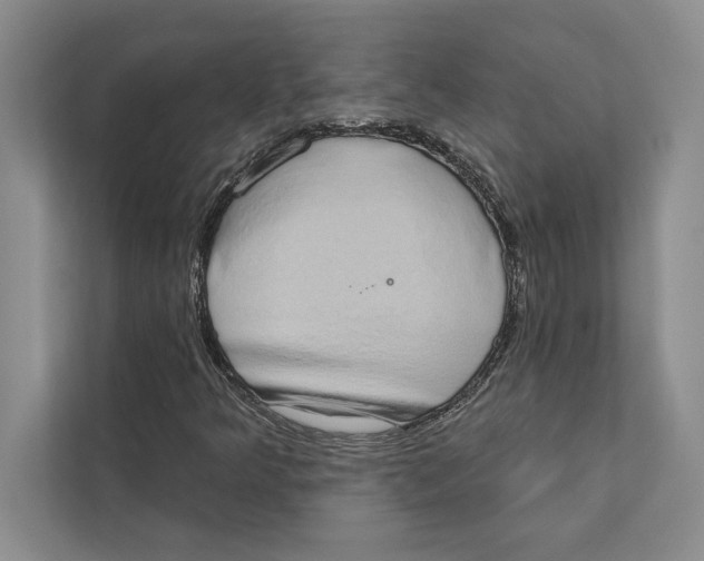 X0000110861349200907091332