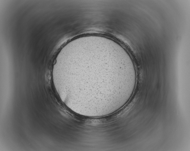 X0000110861355200907091332