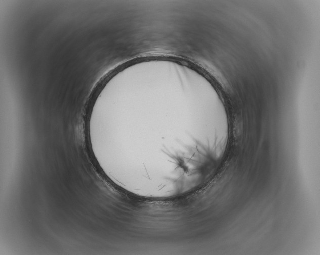 X0000110861356200907091332