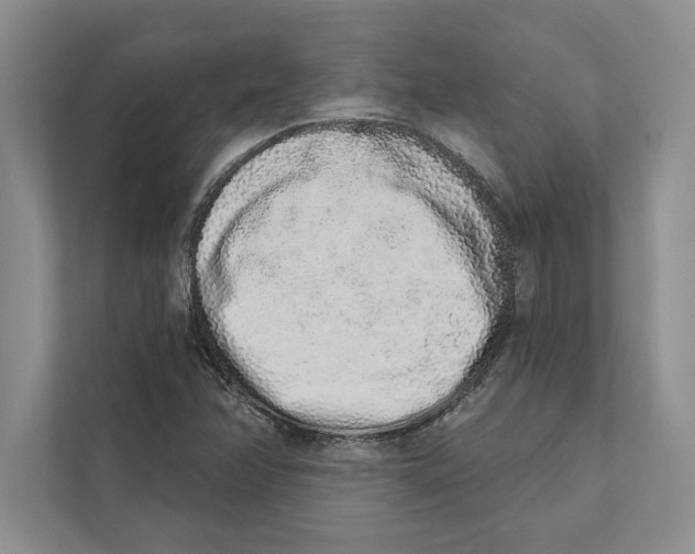 X0000110861358200907091332