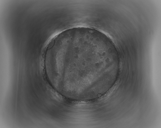 X0000110861359200907091332