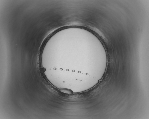 X0000110861364200907091332