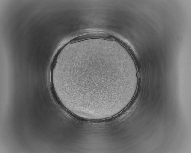 X0000110861365200907091332