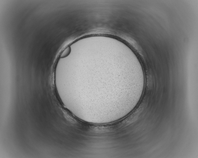 X0000110861366200907091332