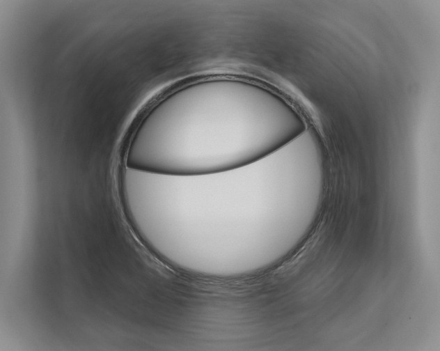 X0000110861368200907091332