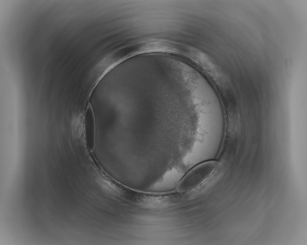 X0000110861369200907091332