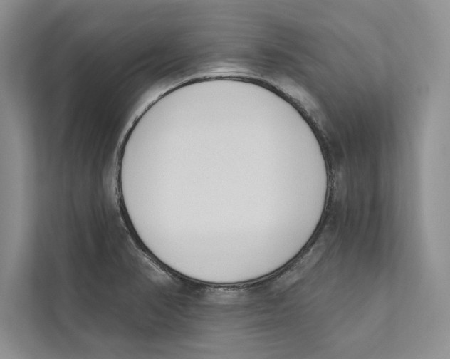 X0000110861374200907091332