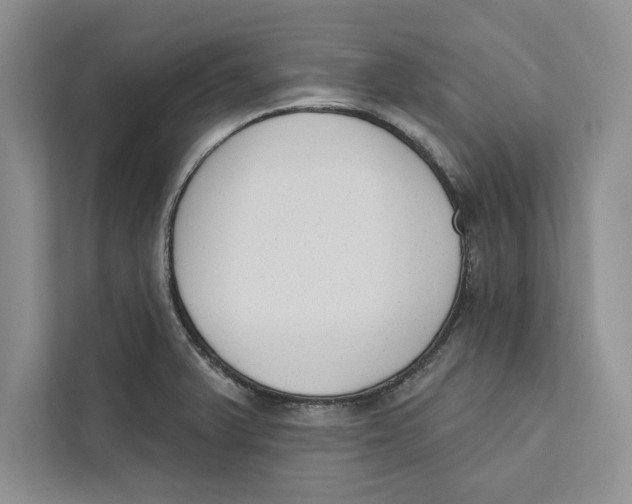 X0000110861375200907091332