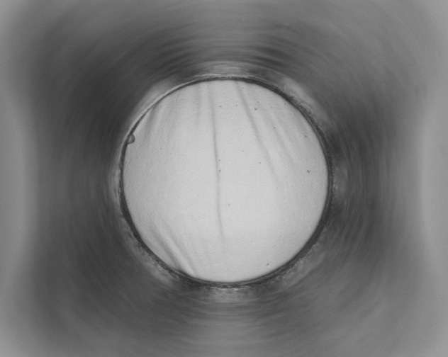 X0000110861378200907091332