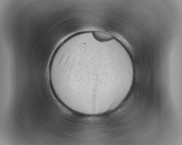 X0000110861380200907091331