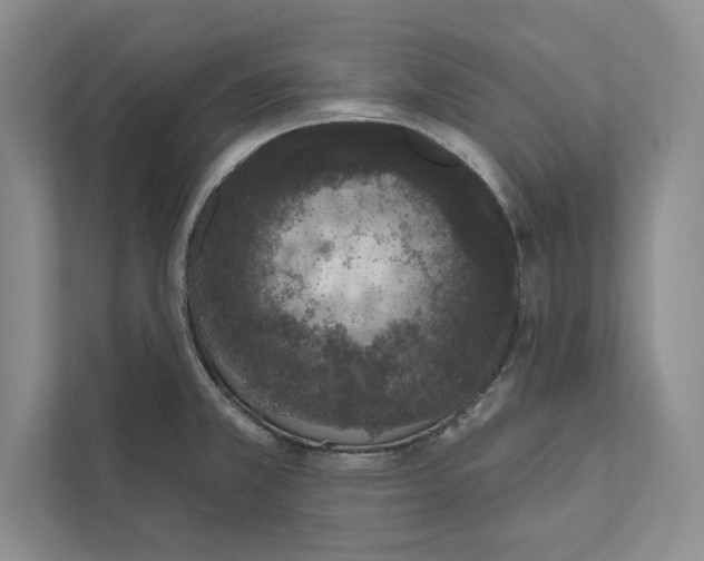 X0000110861381200907091331