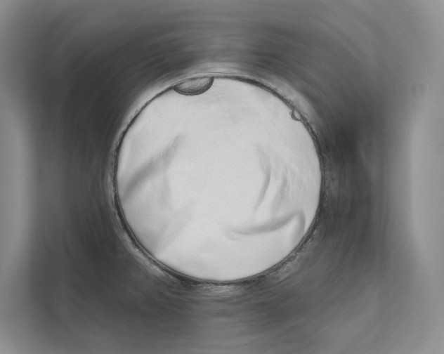 X0000110861382200907091331