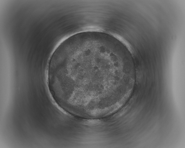 X0000110861383200907091331