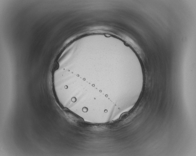 X0000110861384200907091331