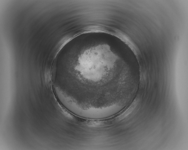 X0000110861385200907091331