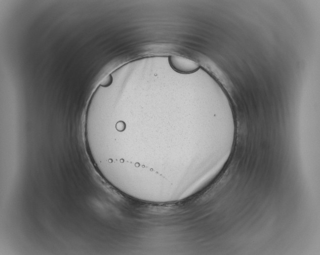 X0000110861386200907091331