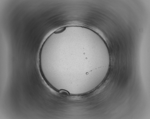 X0000110861387200907091331