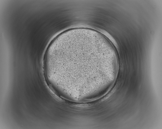 X0000110861388200907091331