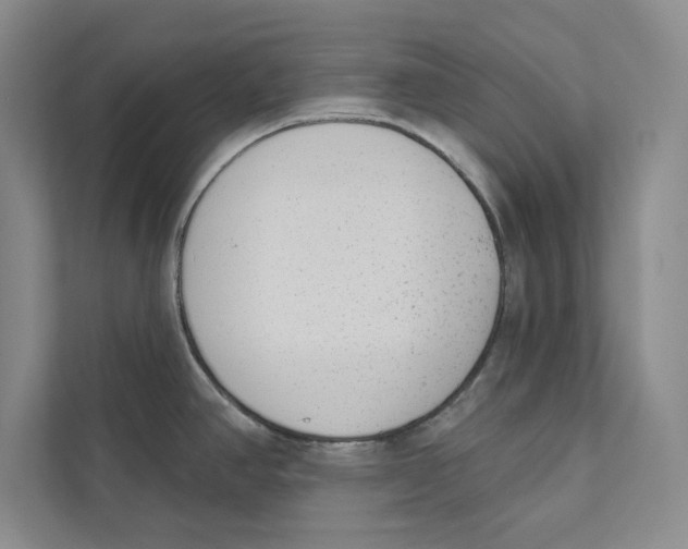 X0000110861390200907091331