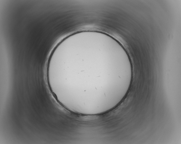 X0000110861392200907091331