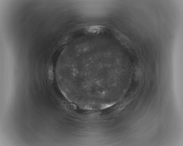 X0000110861394200907091331