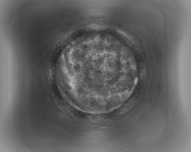 X0000110861397200907091331