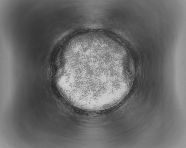 X0000110861398200907091331