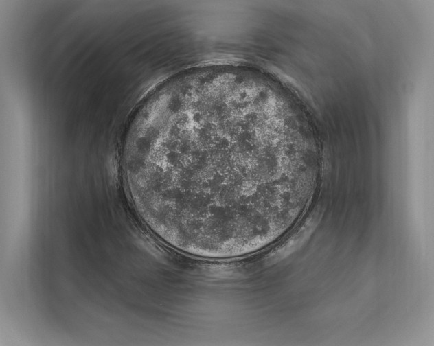 X0000110861401200907091331