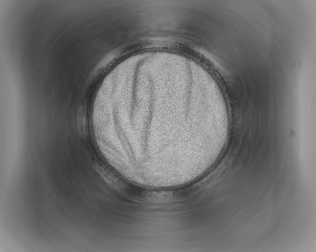 X0000110861403200907091331