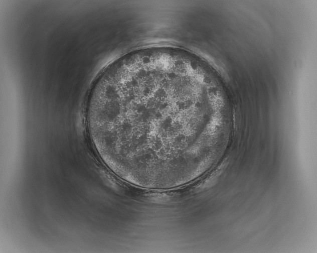 X0000110861405200907091331