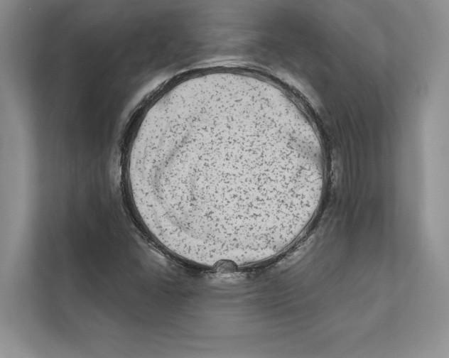 X0000110861406200907091331