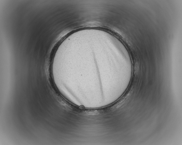 X0000110861410200907091331