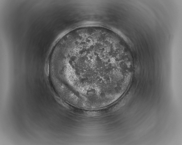 X0000110861413200907091331