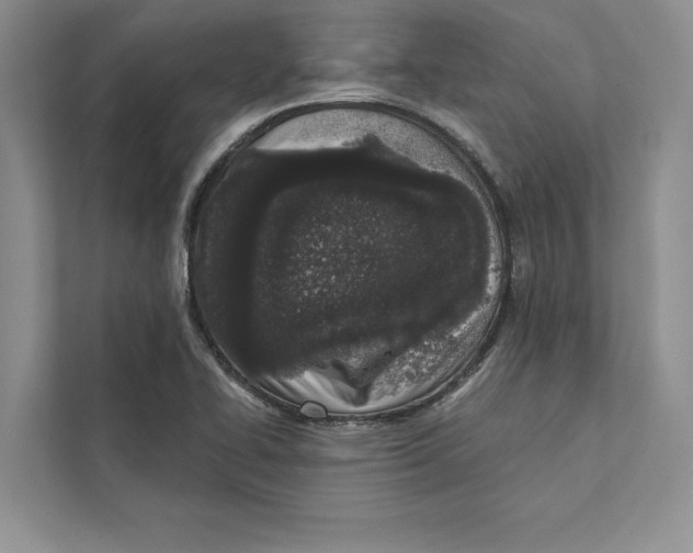 X0000110861414200907091331