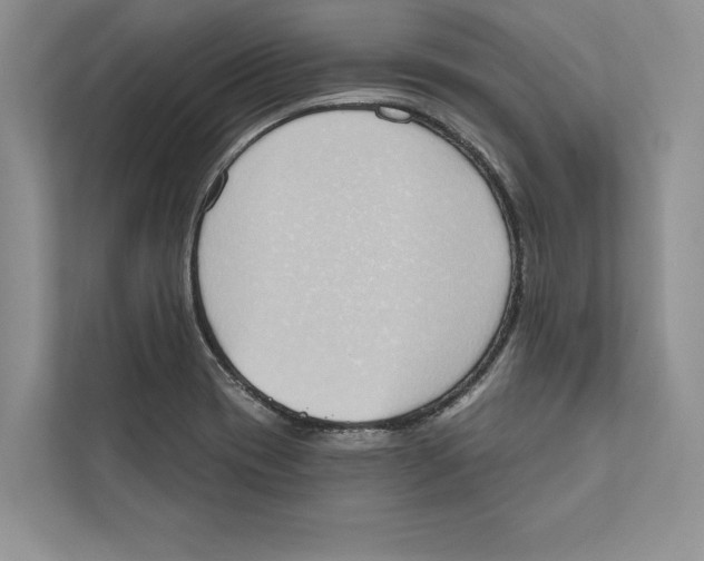 X0000110861417200907091331