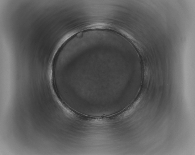 X0000110861418200907091331