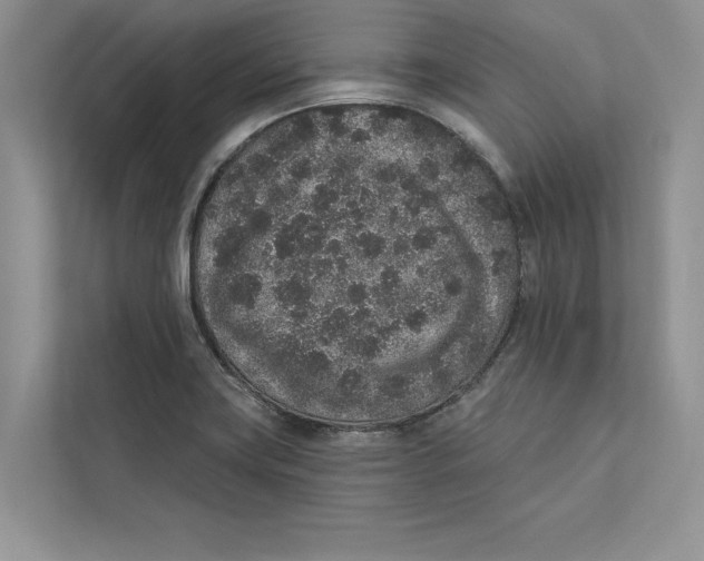 X0000110861419200907091331