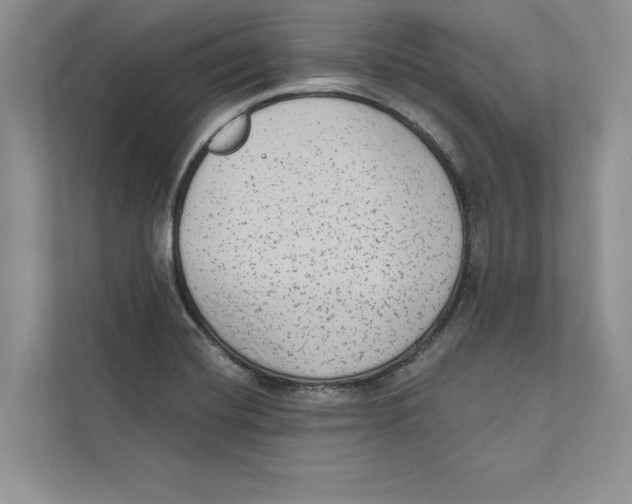 X0000110861420200907091331