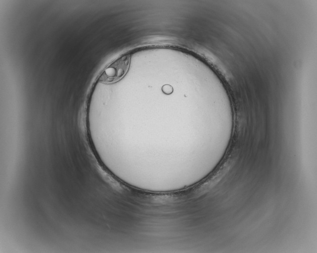 X0000110861421200907091331