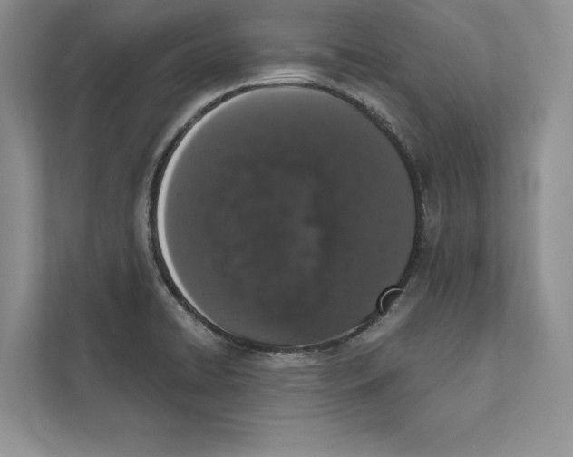 X0000110861422200907091331