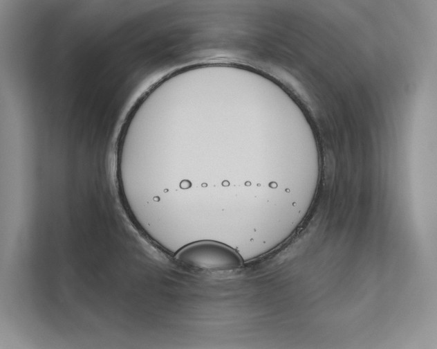 X0000110861424200907091331