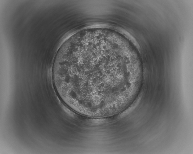 X0000110861425200907091331