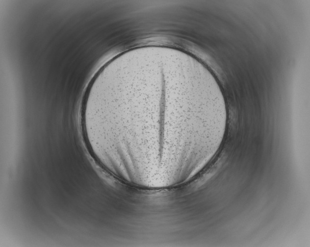 X0000110861426200907091331