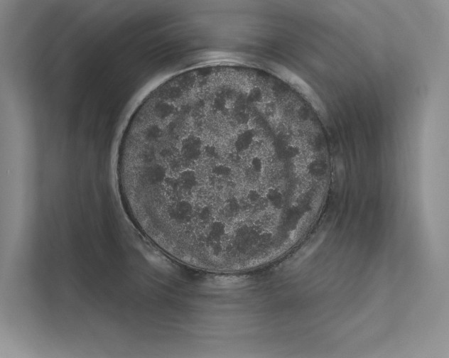 X0000110861427200907091331