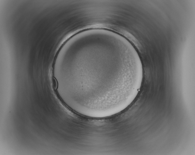 X0000110861428200907091331