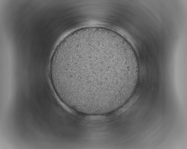 X0000110861429200907091331